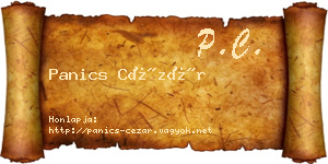 Panics Cézár névjegykártya